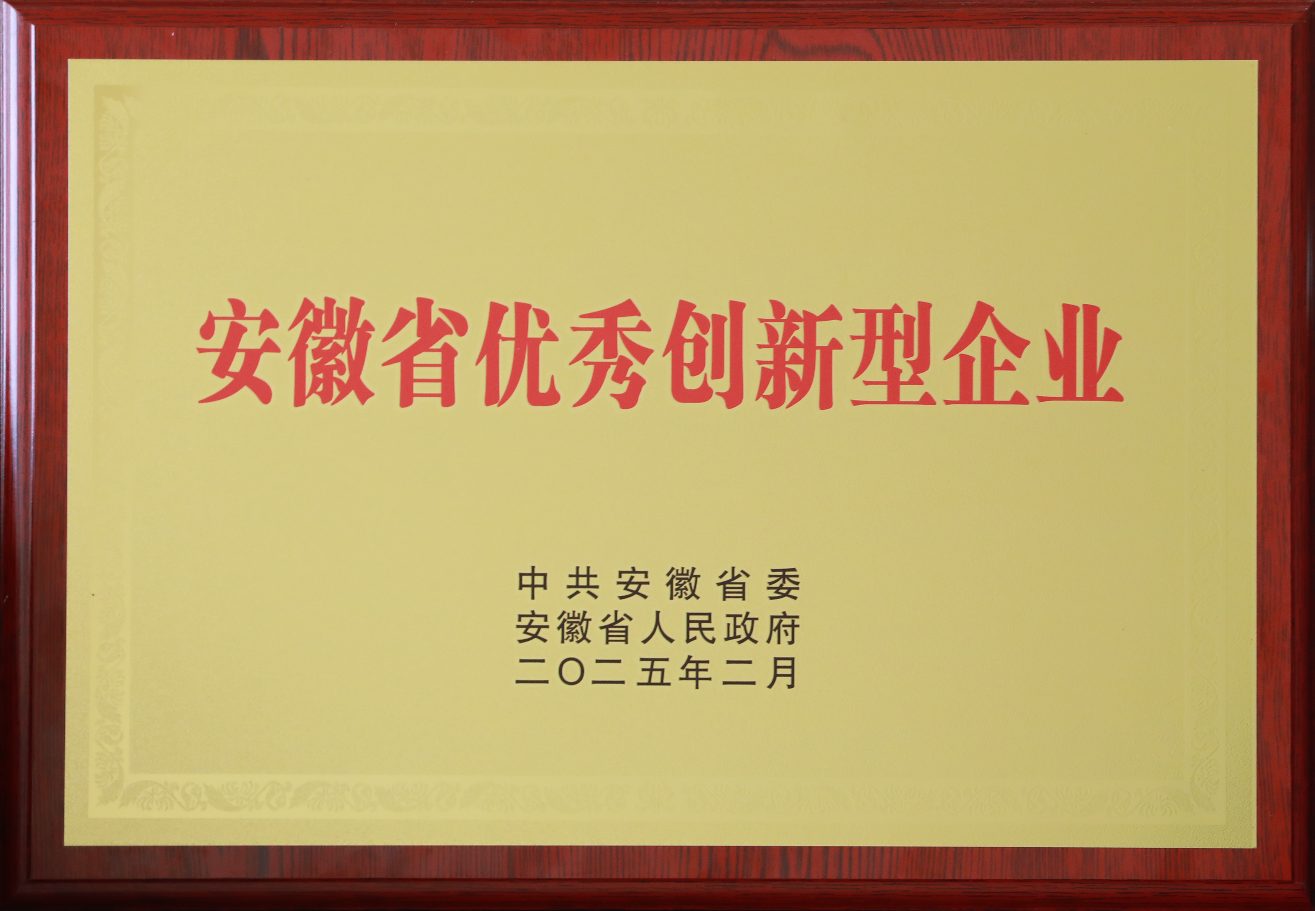 安徽省优秀创新型企业.png